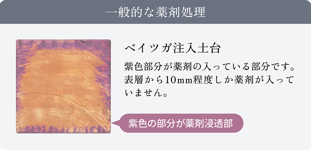 一般的な薬剤処理とJWOOD EX材のシロアリ対策の比較