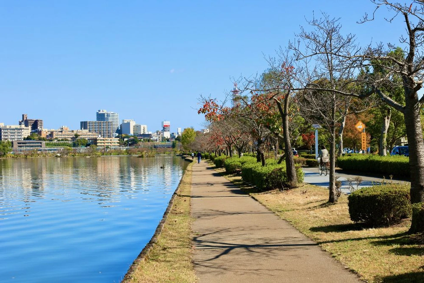 茨城県水戸市の特徴は？
