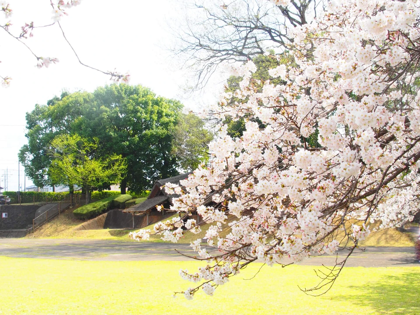 栃木県小山市の特徴は？
