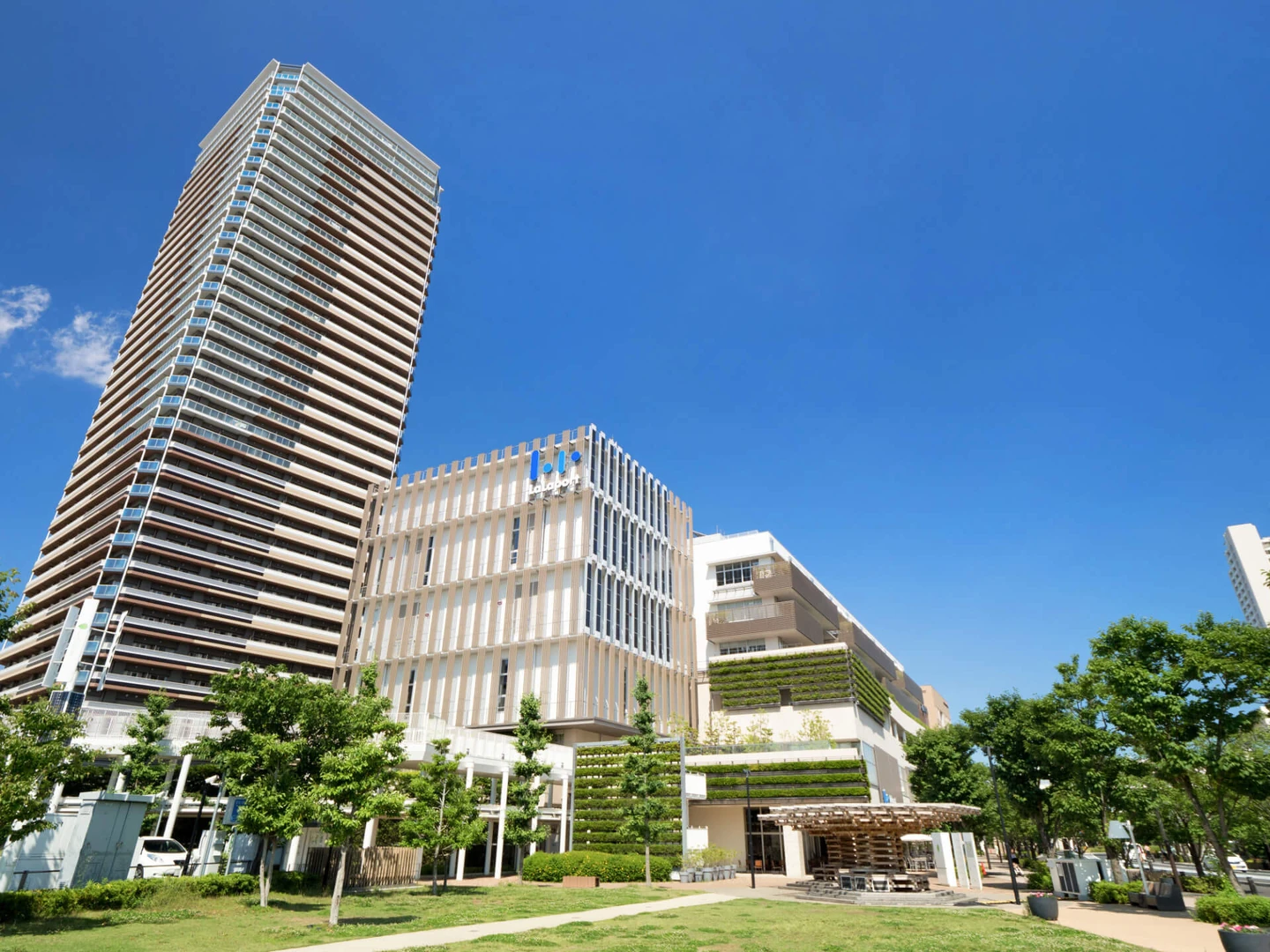 千葉県柏市の特徴は？
