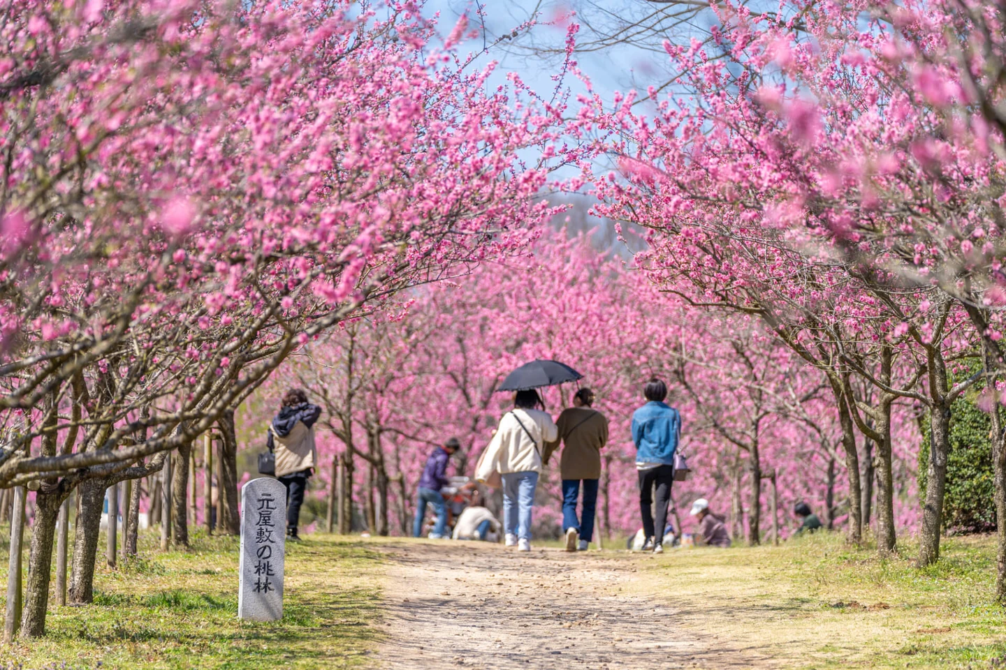 茨城県古河市の特徴は？