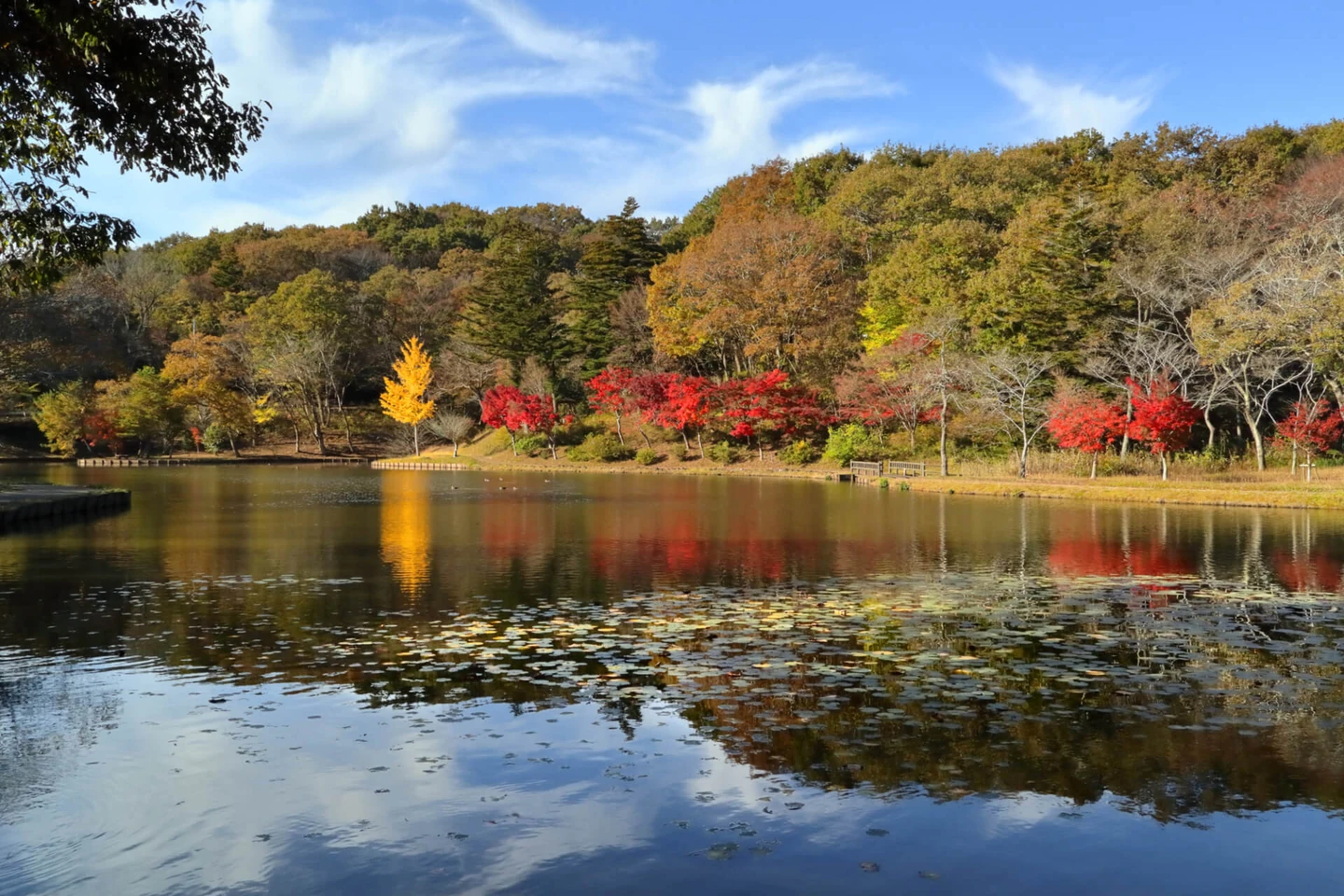 茨城県笠間市の特徴は？