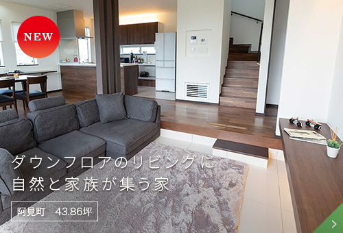 ダウンフロアのリビングに自然と家族が集う家
