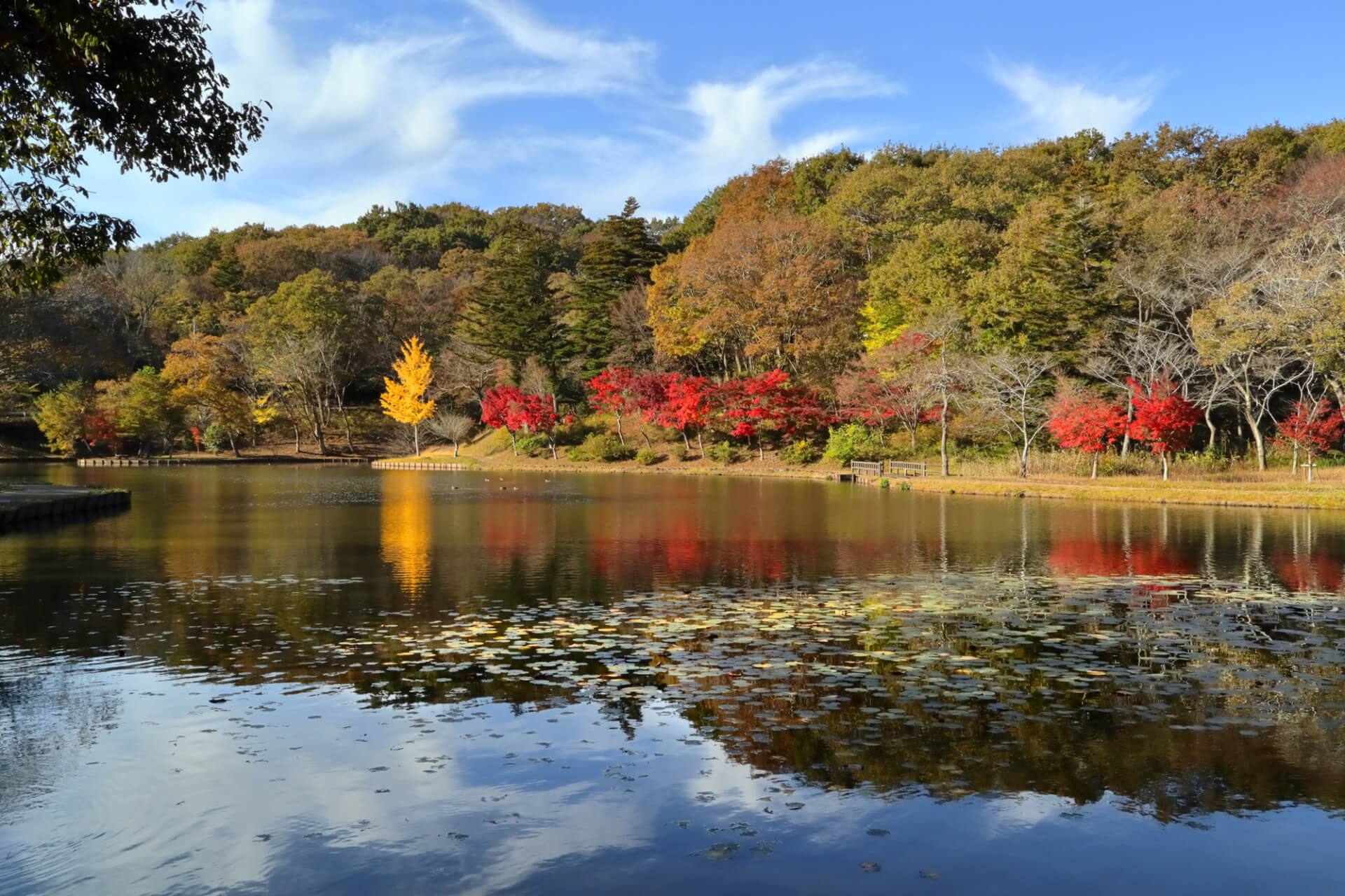 笠間市北山公園